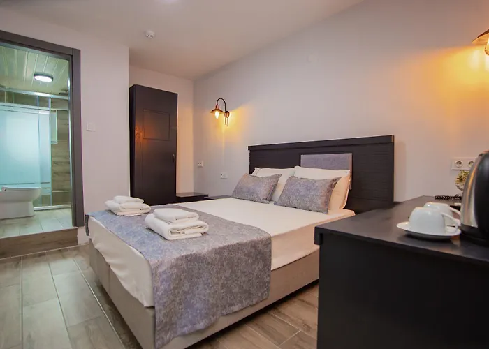 فندق Le Marin تْشاناكالي